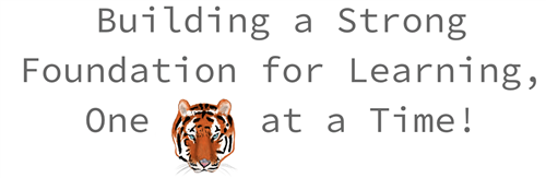 Building a strong foundation for learning one tiger at at time
